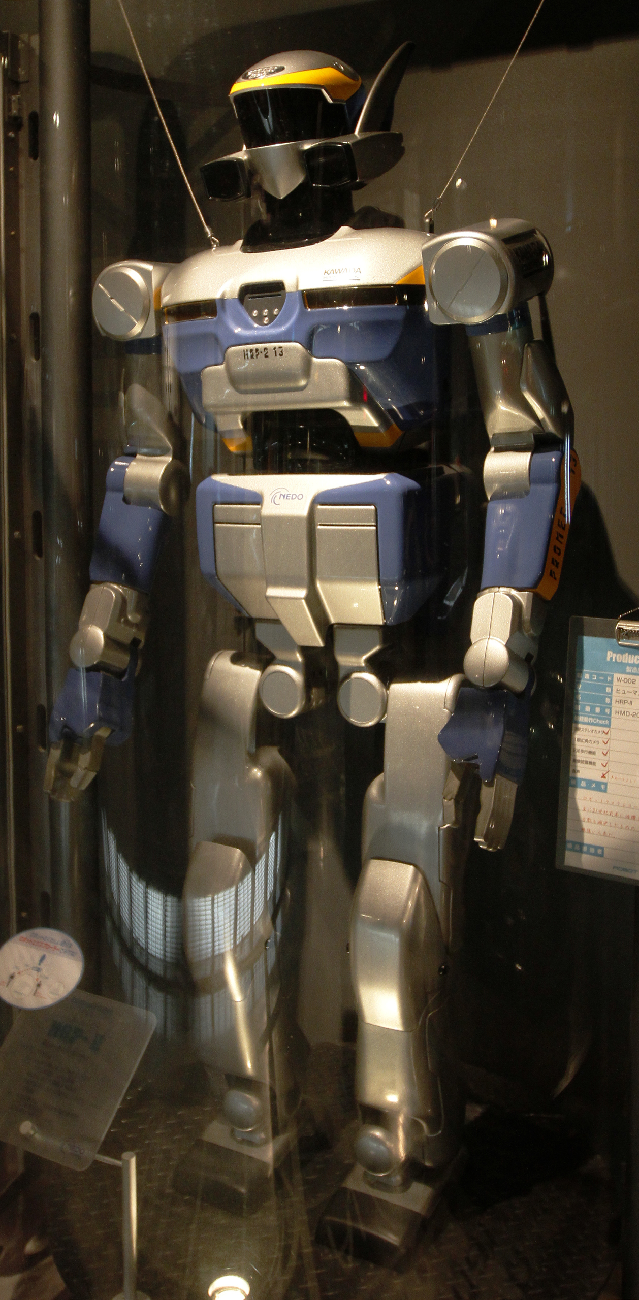 HRP-2