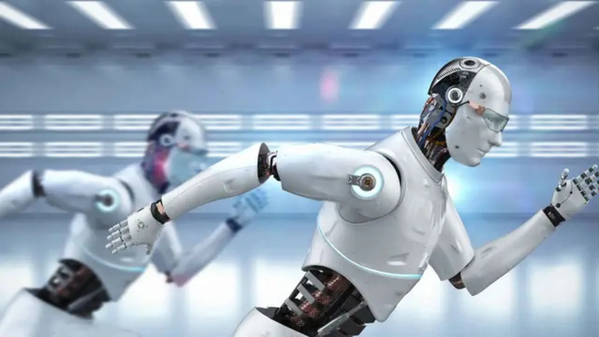 CASBOT SE