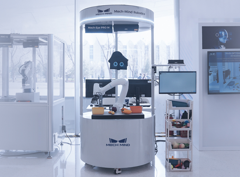 Eye-Brain-Hand Robot Station