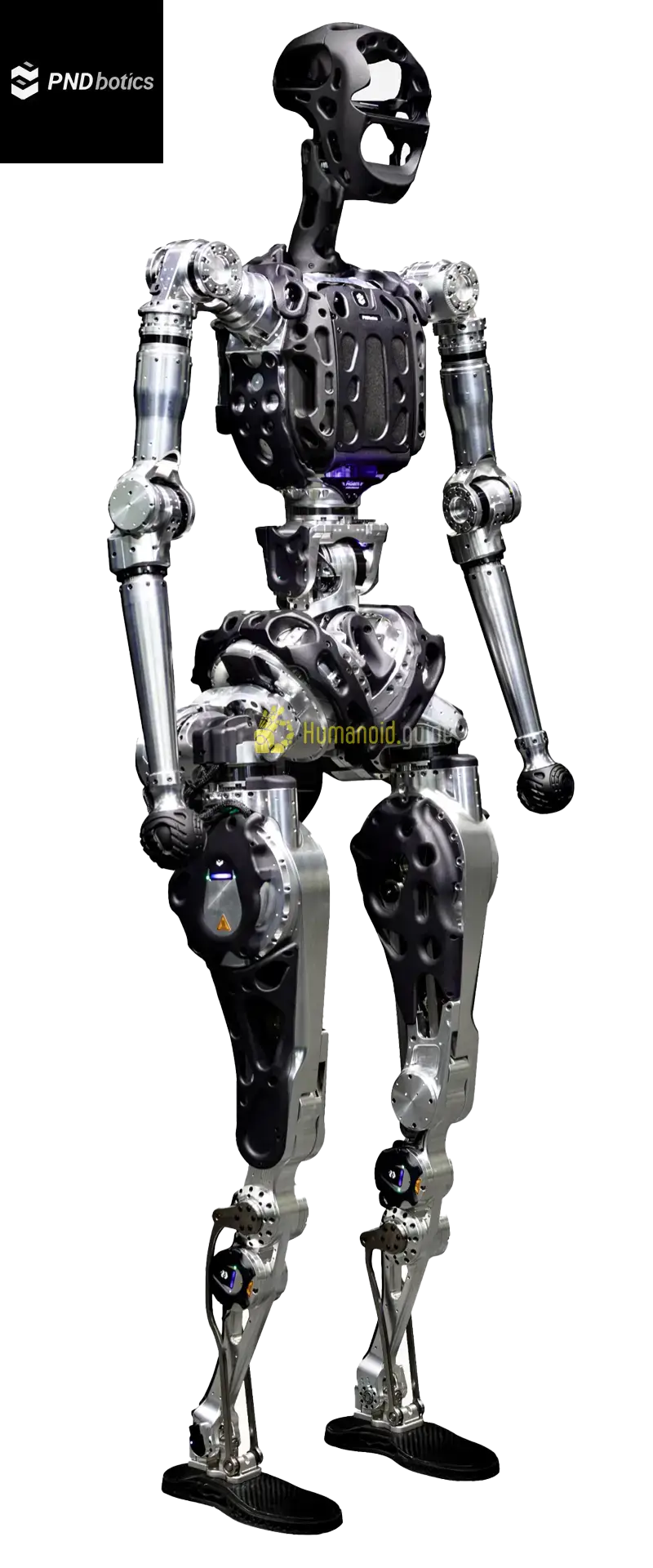 Adam Lite